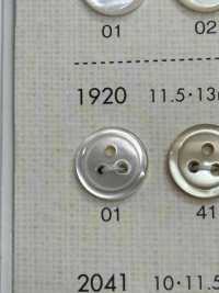 1920 BOTÕES DAIYA 3 Shell Botão De Poliéster DAIYA BUTTON(DAIYA BUTTON) subfoto