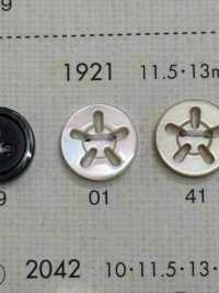 1921 BOTÕES DAIYA Botão De Poliéster Com 5 Conchas DAIYA BUTTON(DAIYA BUTTON) subfoto