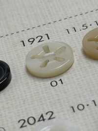 1921 BOTÕES DAIYA Botão De Poliéster Com 5 Conchas DAIYA BUTTON(DAIYA BUTTON) subfoto