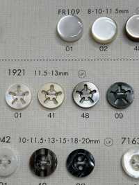 1921 BOTÕES DAIYA Botão De Poliéster Com 5 Conchas DAIYA BUTTON(DAIYA BUTTON) subfoto