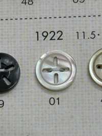 1922 BOTÕES DAIYA Botão De Poliéster De 4 Conchas Mutável DAIYA BUTTON(DAIYA BUTTON) subfoto