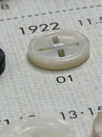 1922 BOTÕES DAIYA Botão De Poliéster De 4 Conchas Mutável DAIYA BUTTON(DAIYA BUTTON) subfoto