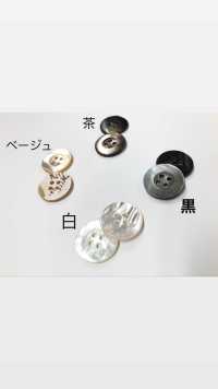 PH137 Botão De Concha Oca De 4 Furos Sakamoto Saji Shoten subfoto