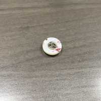 PH271 Botão Shell Com Pés De Metal Sakamoto Saji Shoten subfoto