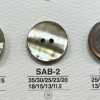 SAB2 Botão brilhante de material natural de concha com 2 furos