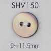 SHV150 Botão de concha de 2 furos
