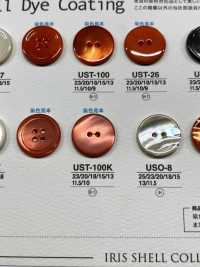 UST17K Botão De 4 Conchas De Material Natural Tingido IRIS subfoto