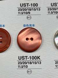 UST17K Botão De 4 Conchas De Material Natural Tingido IRIS subfoto