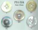 PH504 Botão De Concha Larga De 4 Furos