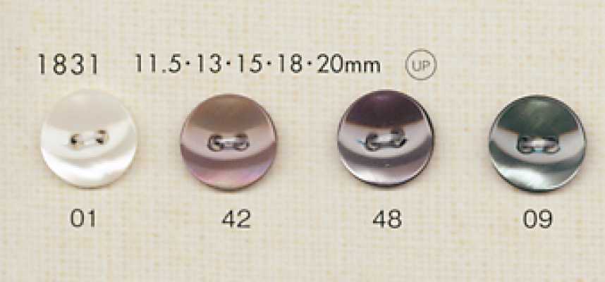 DAIYA BUTTONS Botões de poliéster estilo concha