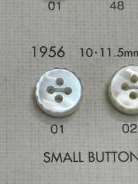 1956 BOTÕES DAIYA Botão De Poliéster Tipo Concha DAIYA BUTTON(DAIYA BUTTON) subfoto