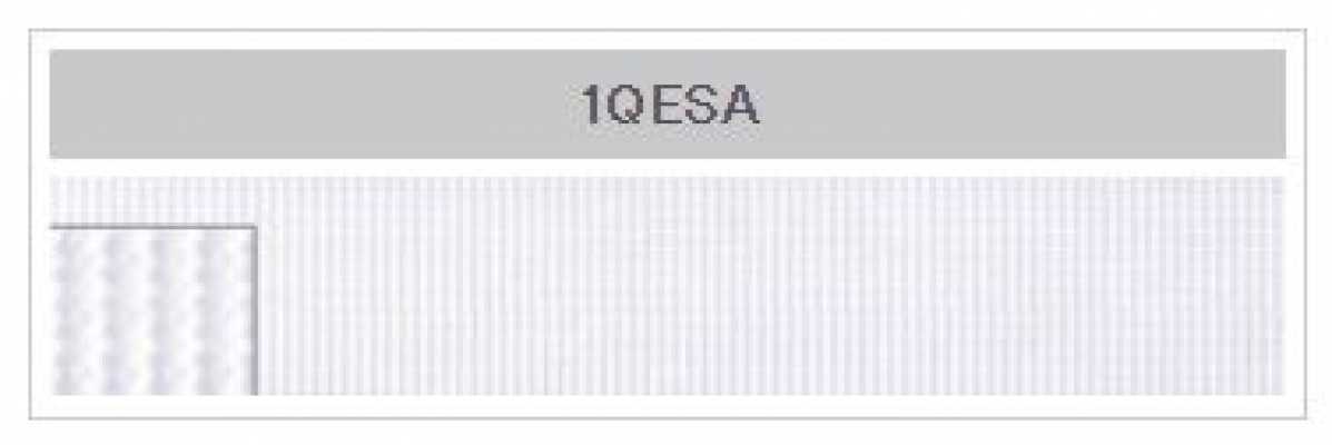 1QESA POWERHOOK® Tipo pequeno de gancho e argola (1,2 mm)