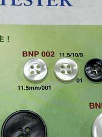 BNP-002 Botão Biopoliester 4 Furos IRIS subfoto