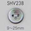 SHV238 Botão de madrepérola de quatro furos