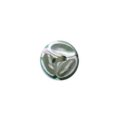 200 Botão de 2 furos, Takase Shell