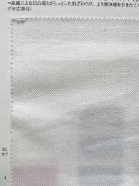 12768 Ponto Alto De Poliéster/algodão Musgo[Têxtil / Tecido] SUNWELL subfoto