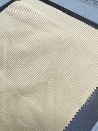 1093160 Double Woven Lightweight Sweatshirt Corduroy[Têxtil / Tecido] Takisada Nagoya subfoto