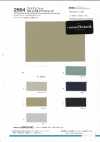 2664 16S FTY Fio Irregular Stretch