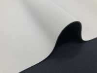 31044 HM AL Prata/PS Preto 95 × 170cm[Têxtil / Tecido] Tartaruga subfoto