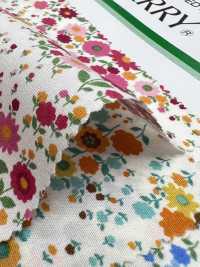 6112 Broadcloth Cutie Pedicel[Têxtil / Tecido] VANCET subfoto