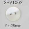 SHV1002 Botão de madrepérola de dois furos