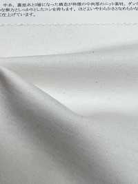 13661 Malha Dupla De Algodão[Têxtil / Tecido] SUNWELL subfoto