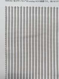 35232 Faixa Oxford De Fibra De Liocel Compact X Tencel (TM)[Têxtil / Tecido] SUNWELL subfoto