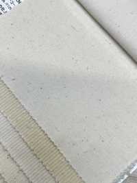 KN2030UN Veludo De Veludo Natural De Verão Sem Cortes De 22 W (Marfim)[Têxtil / Tecido] Kumoi Beauty (Chubu Velveteen Corduroy) subfoto
