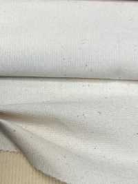 KN2030UN Veludo De Veludo Natural De Verão Sem Cortes De 22 W (Marfim)[Têxtil / Tecido] Kumoi Beauty (Chubu Velveteen Corduroy) subfoto