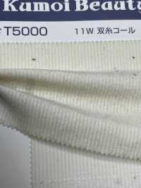 T5000 Veludo De Veludo De Duas Camadas 11W[Têxtil / Tecido] Kumoi Beauty (Chubu Velveteen Corduroy) subfoto