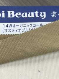 OG2180 Algodão 14W/veludo Cotelê Orgânico[Têxtil / Tecido] Kumoi Beauty (Chubu Velveteen Corduroy) subfoto