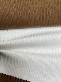 CF2070 Veludo Cotelê Verão 14W C/F[Têxtil / Tecido] Kumoi Beauty (Chubu Velveteen Corduroy) subfoto