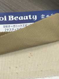 OG7080 Calça De Veludo Orgânico 9W[Têxtil / Tecido] Kumoi Beauty (Chubu Velveteen Corduroy) subfoto