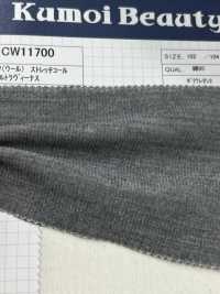 CW11700 Veludo Elástico 16W C/W Com Processamento Especial De Arruela [outlet][Têxtil / Tecido] Kumoi Beauty (Chubu Velveteen Corduroy) subfoto