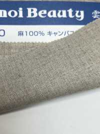 12500 Lona 100% Linho[Têxtil / Tecido] Kumoi Beauty (Chubu Velveteen Corduroy) subfoto