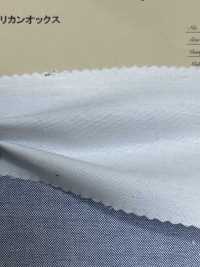 3351 Oxford Americano[Têxtil / Tecido] ARINOBE CO., LTD. subfoto