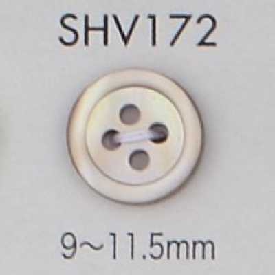SHV172 Botão de madrepérola com aro e 4 furos