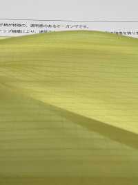 RP2003 Ripstop Organza[Têxtil / Tecido] Suncorona Oda subfoto