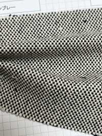 OG356 Cambraia[Têxtil / Tecido] Kumoi Beauty (Chubu Velveteen Corduroy) subfoto