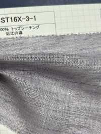 ST16X-3-1 100% Linho Loomstate Ohmi Linho[Têxtil / Tecido] Kumoi Beauty (Chubu Velveteen Corduroy) subfoto