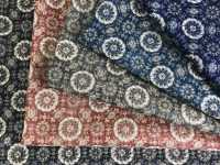 4220 Cruz De Fio Irregular Cruz étnica Javanesa[Têxtil / Tecido] VANCET subfoto