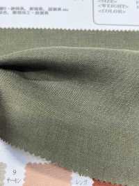 OA21271 60/1・LINHO DO JAPÃO (Cru)[Têxtil / Tecido] Oharayaseni subfoto