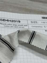 SB4H2019 Lavagem De Tricô Circular Listrada De Algodão Reciclado[Têxtil / Tecido] SHIBAYA subfoto