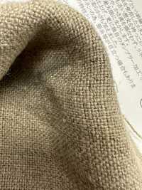 OA141361 Linho Semi-úmido Nº 8[Têxtil / Tecido] Oharayaseni subfoto