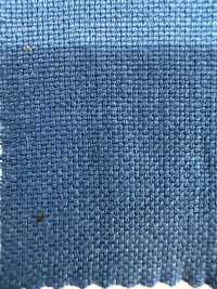 OA2910 25/1×25/1 JAPÃO LINHO Oni Oxford[Têxtil / Tecido] Oharayaseni subfoto