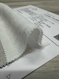 OA2897 C/Li W Geração Cruzada Sobre Matriz[Têxtil / Tecido] Oharayaseni subfoto