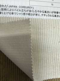 CF7000 Veludo 9W C/F (Linho)[outlet][Têxtil / Tecido] Kumoi Beauty (Chubu Velveteen Corduroy) subfoto