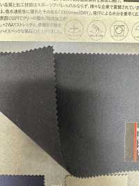 3-66343 Formato Schoeller[Têxtil / Tecido] Takisada Nagoya subfoto