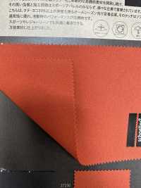3-67341 Schoeller-dinâmico[Têxtil / Tecido] Takisada Nagoya subfoto