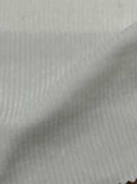 CP1818 Tunbler De Ar De Veludo Cotelê Elástico Compacto 11W [outlet][Têxtil / Tecido] Kumoi Beauty (Chubu Velveteen Corduroy) subfoto